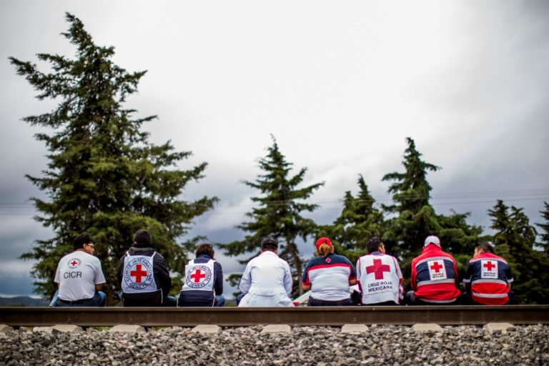 The first-ever Movement Migration Strategy – Statutory Meetings